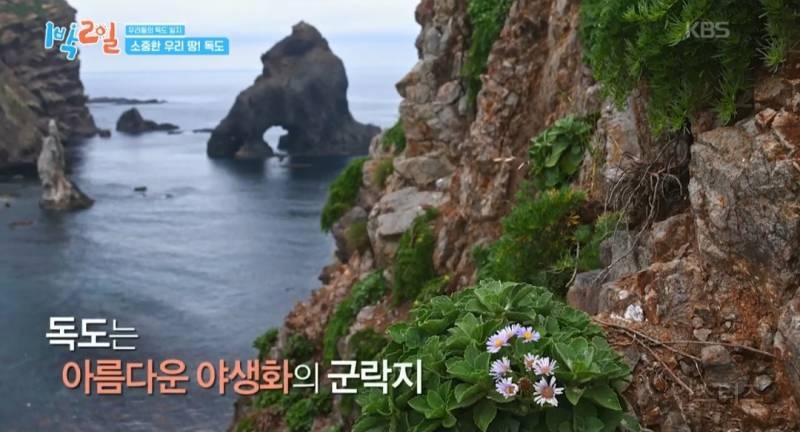 모든 사람이 꼭 봤으면 하는 1박2일 멤버들의 독도 방문기.jpg | 인스티즈