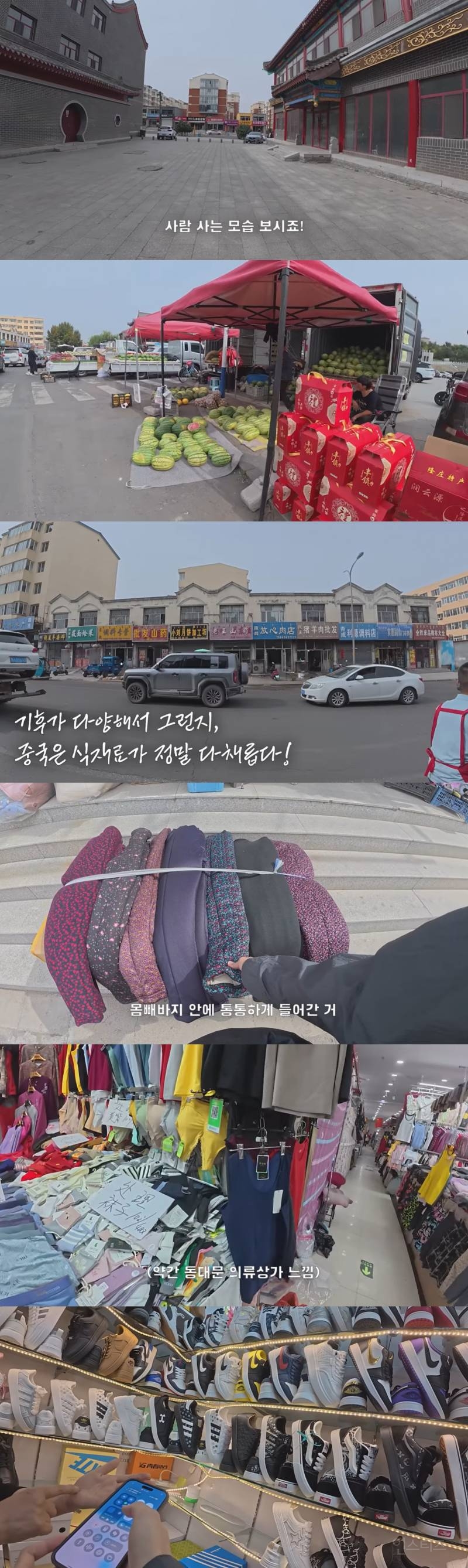 울릉도 논란으로 핫했던 여행 유튜버 근황 | 인스티즈