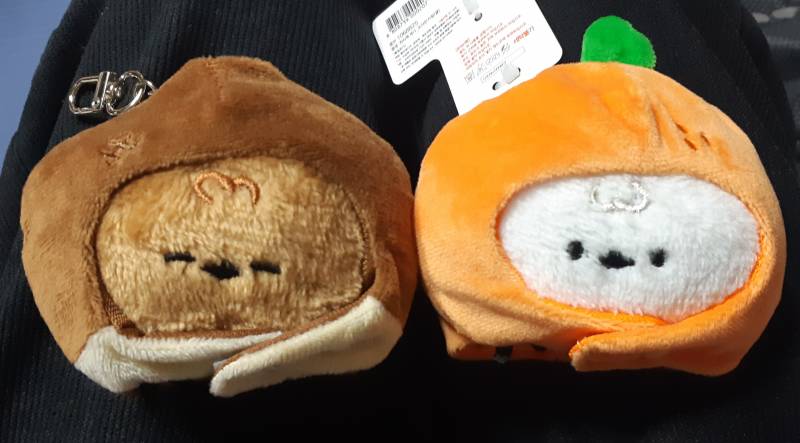 [잡담] 엊그제랑 오늘 다이소 가서 쓸데없는 소비 많이 했당... | 인스티즈