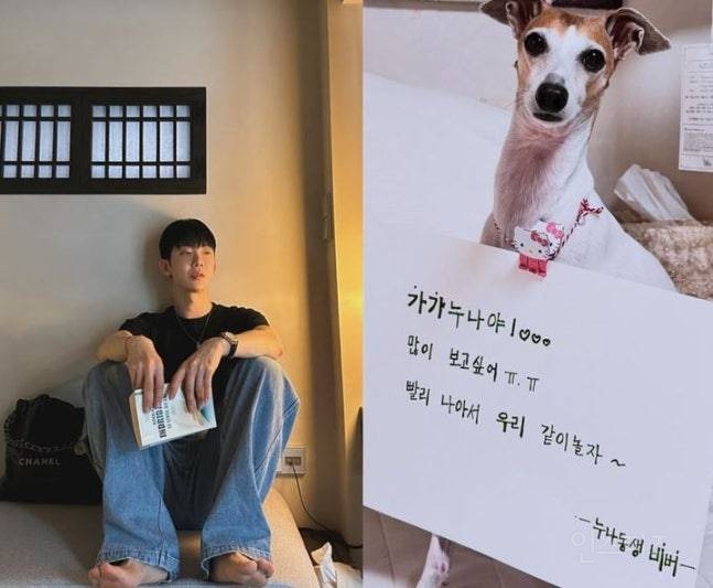 "전이 빨라 항암치료"…조권 반려견 암투병에 응원 물결 | 인스티즈