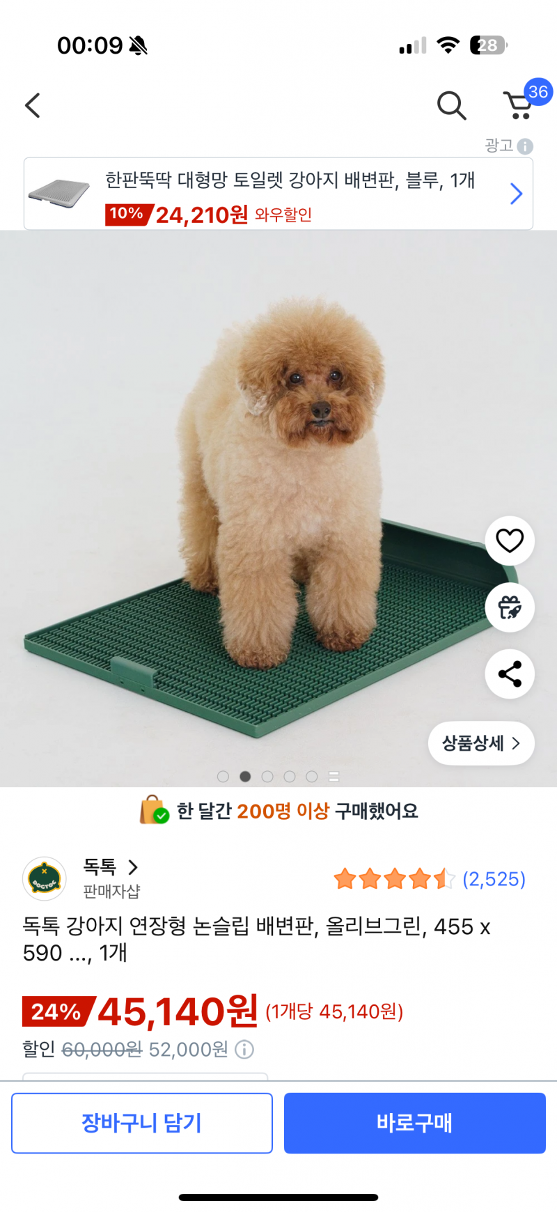 [잡담] 우리 강아지 9년동안 배변패드에 쌌는데 이거 적응 ㄱㄴ할까? | 인스티즈