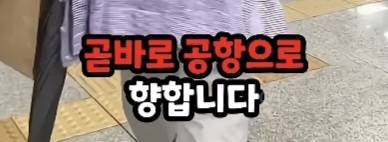 당일치기 미용관광하러 한국 왔다간 일본인.jpg | 인스티즈