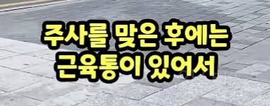 당일치기 미용관광하러 한국 왔다간 일본인.jpg | 인스티즈
