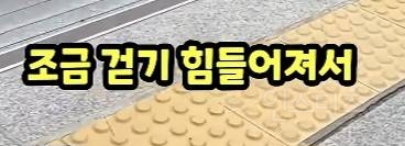 당일치기 미용관광하러 한국 왔다간 일본인.jpg | 인스티즈