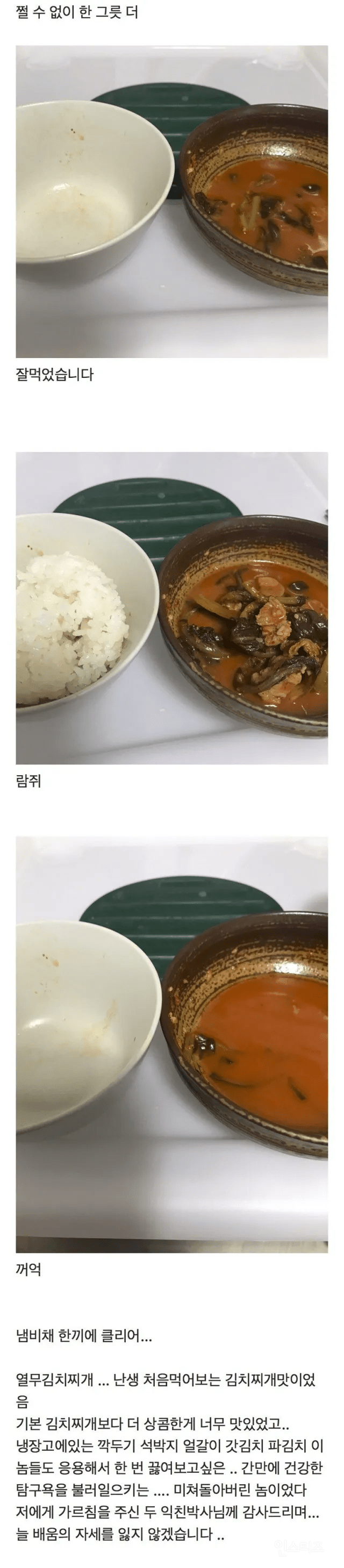 열무김치로 김치찌개 끓인 후기 | 인스티즈