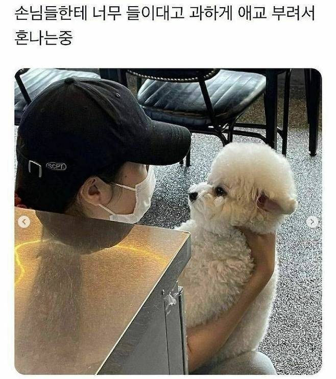 손님들한테 너무 들이대서 혼나는 알바생 | 인스티즈