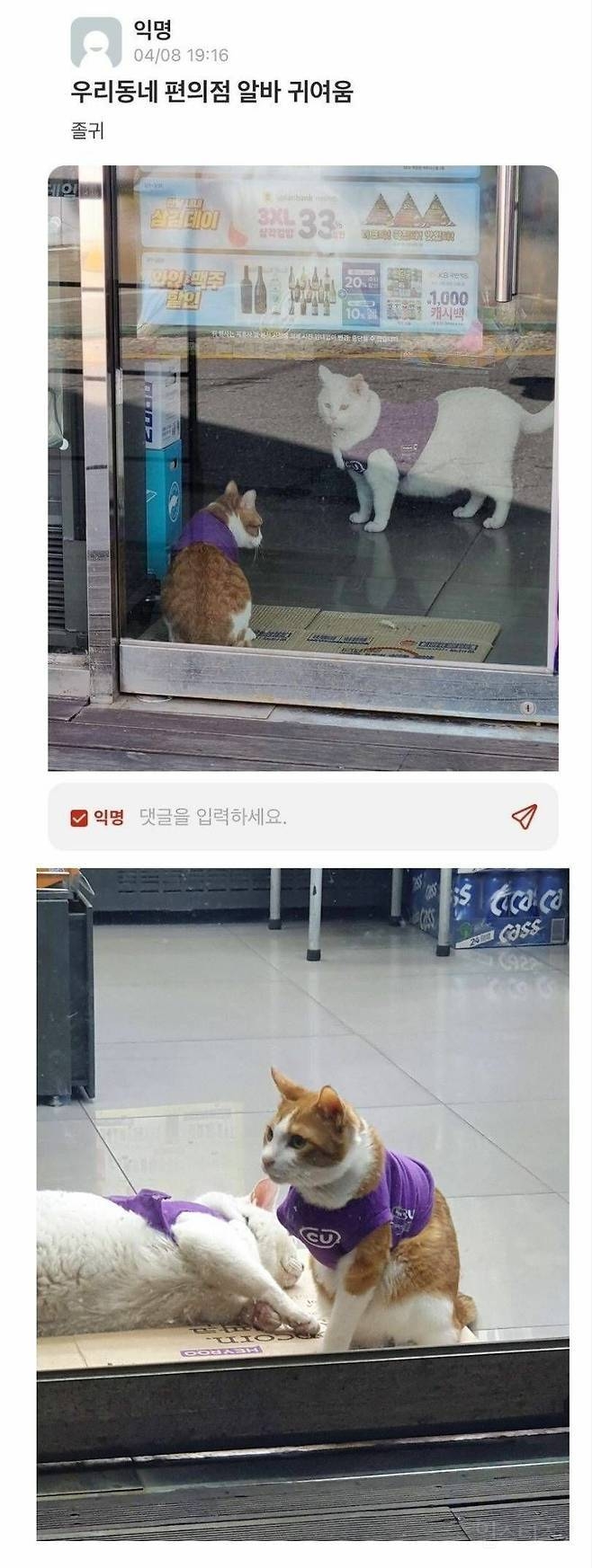 우리동네 편의점 알바 귀여움 | 인스티즈