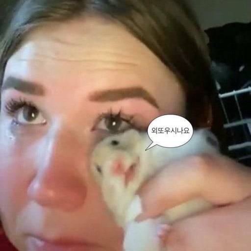 [잡담] 뻔뻔한 세계) 이 짤 생각난다ㅋㅋㅋㅋ | 인스티즈
