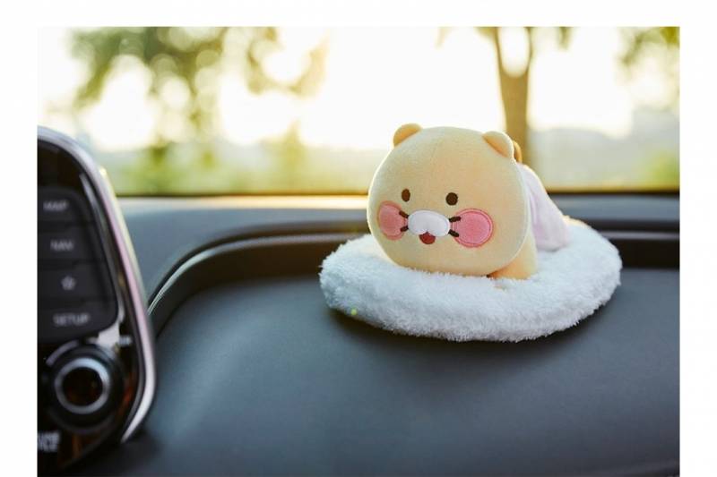 차에 춘식이 인형 뭐가 이뽀 | 인스티즈
