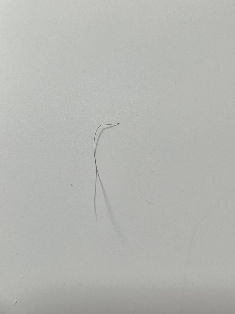 [잡담] 다리털 너무 길어서 스트레스 받아ㅠㅜ(ㅎㅇㅈㅇ) | 인스티즈