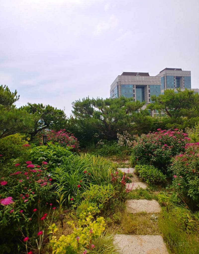매물로 잘 안나온다는 타워팰리스 테라스 세대.jpg | 인스티즈