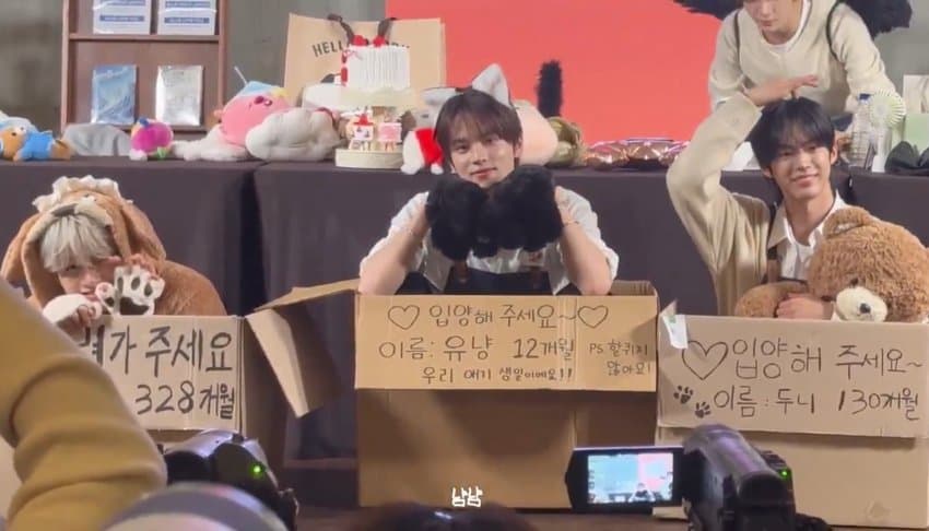 [마플] 남돌은 자아가 있으면 힘든 직업인듯 | 인스티즈