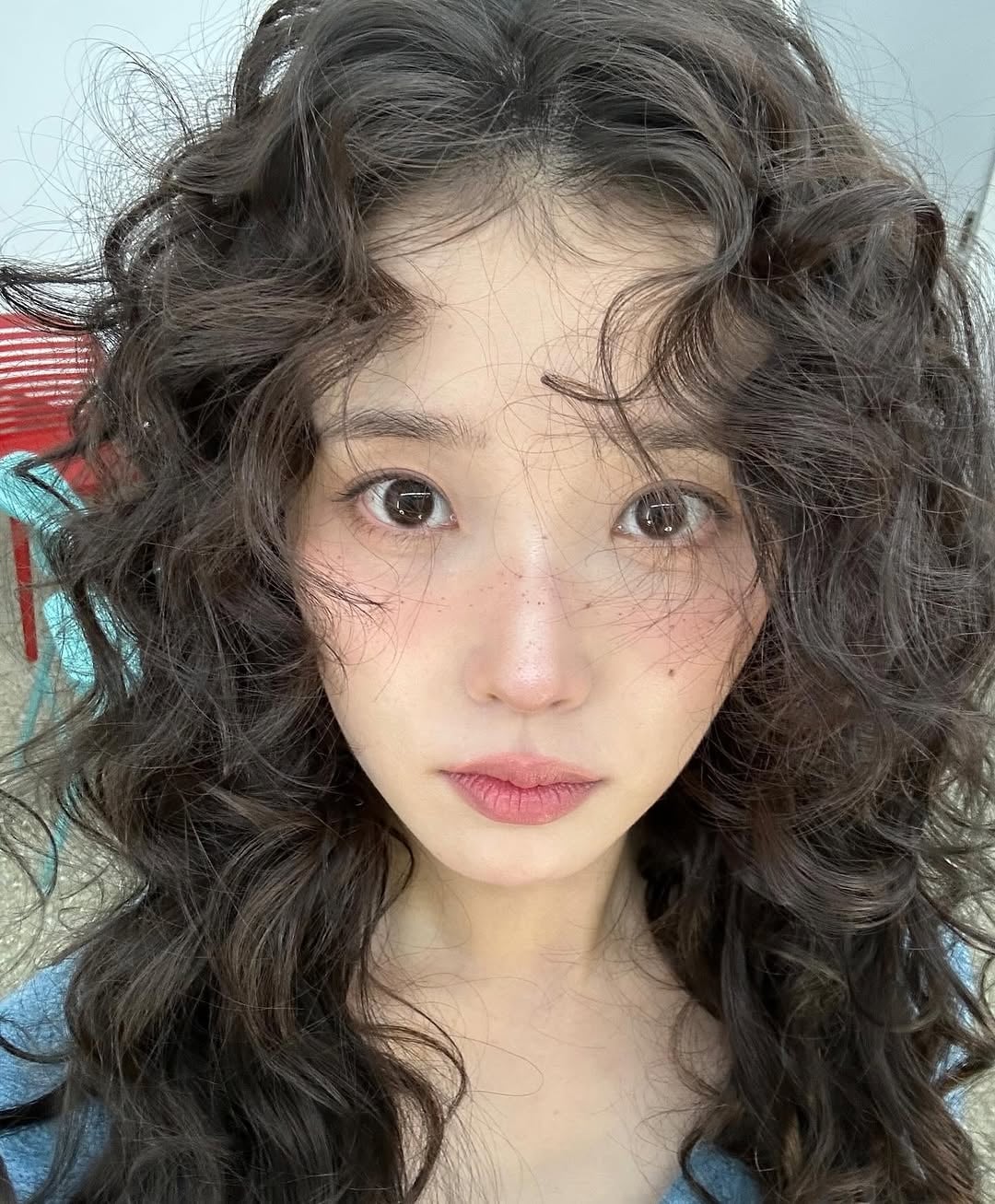 [잡담] 나 아이유 토끼파인데 이건 푸들 강아지같다 | 인스티즈