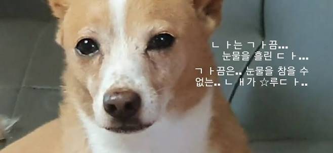 [잡담] 베테랑팀 보고 표정 이렇게됨 | 인스티즈