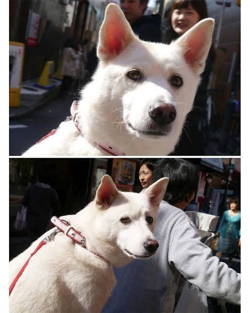 [잡담] 베테랑팀 보고 표정 이렇게됨 | 인스티즈