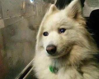 [잡담] 베테랑팀 보고 표정 이렇게됨 | 인스티즈