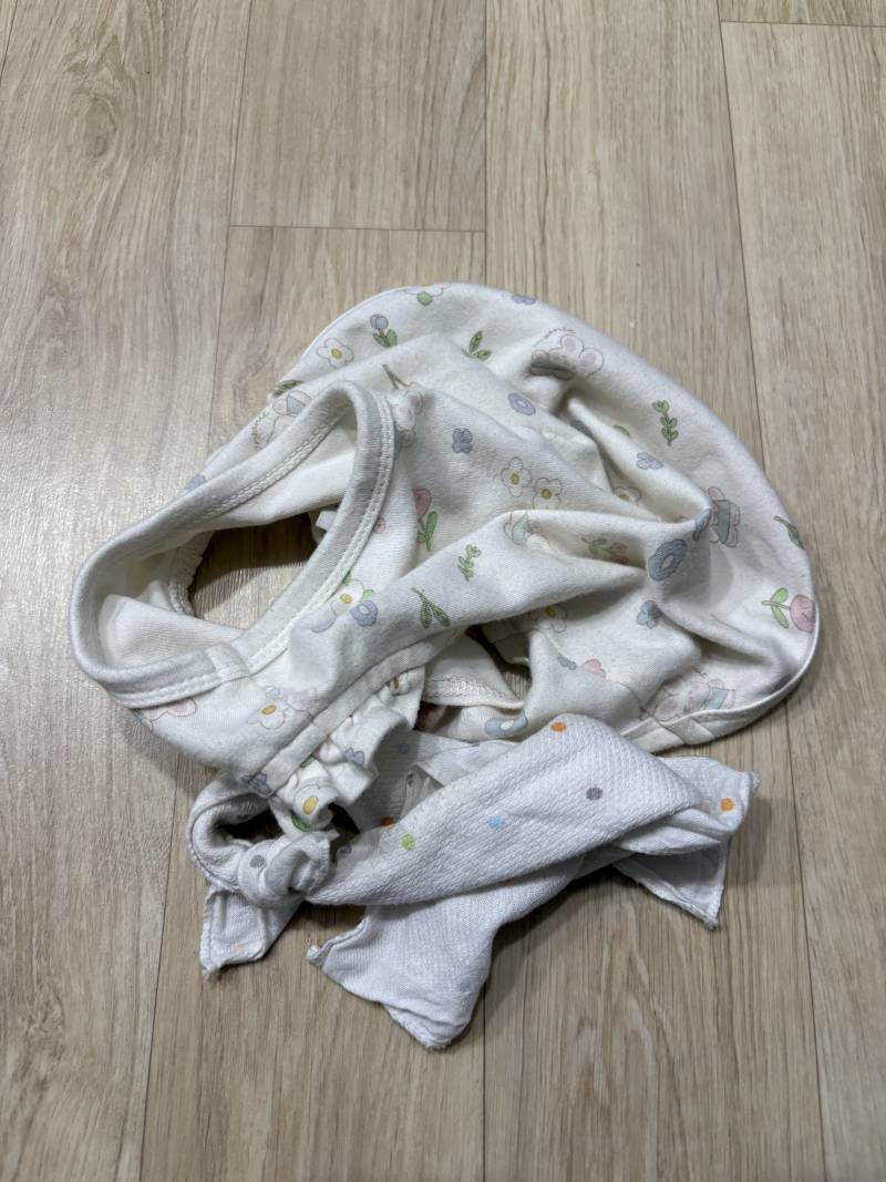 [잡담] 강아지 옷 벗어둔거 귀엽다ㅋㅋㅋㅋ | 인스티즈