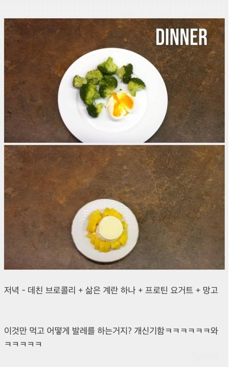 러시아 발레리나의 하루 식단 | 인스티즈