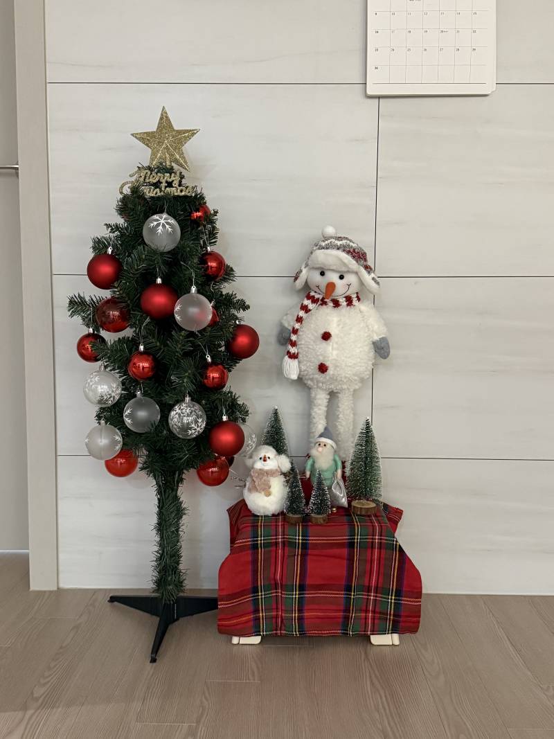 [잡담] 크리스마스 트리 꺼냈어 🎄🎄🎅🎅 | 인스티즈