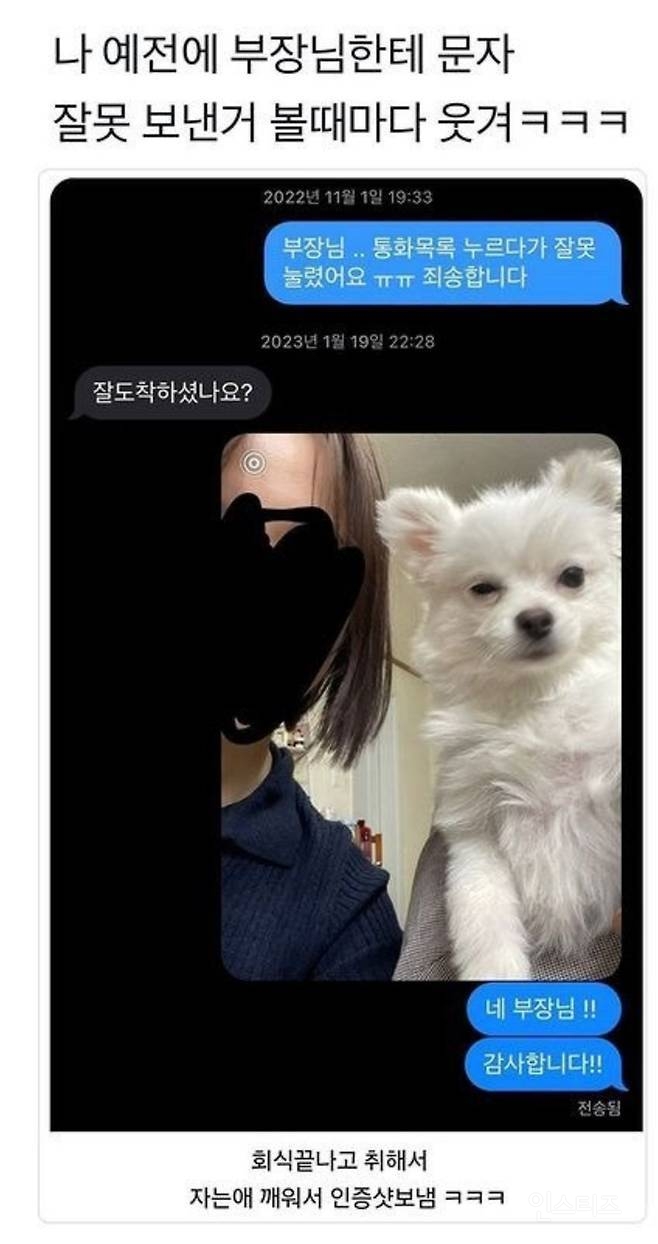 술 기운에 부장님한테 문자 보냄 | 인스티즈
