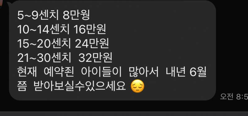 [잡담] 반려견 양모벨트 진짜 개 비싸다... | 인스티즈