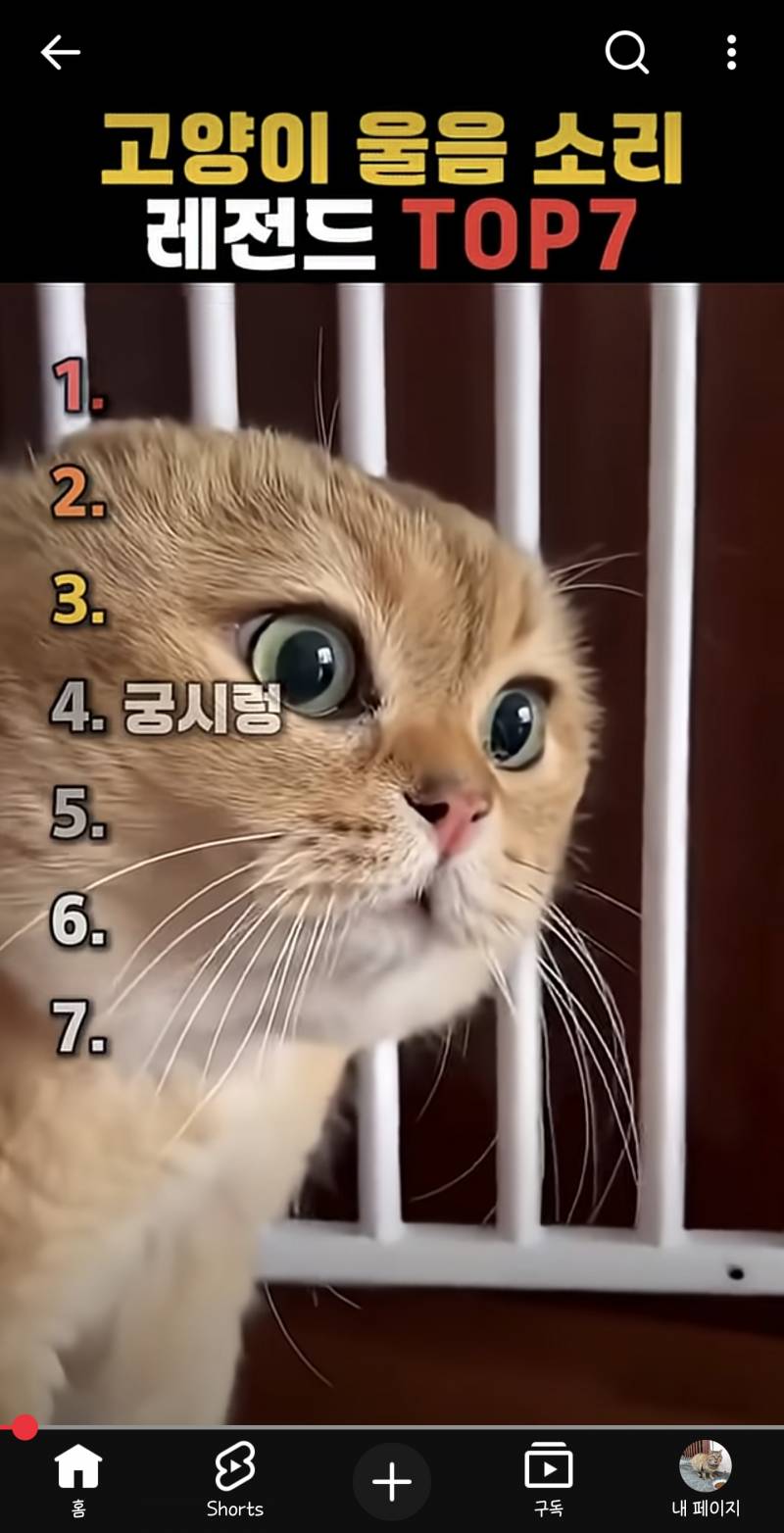 [잡담] 유튜브 쇼츠 지금 나만 이래..? | 인스티즈