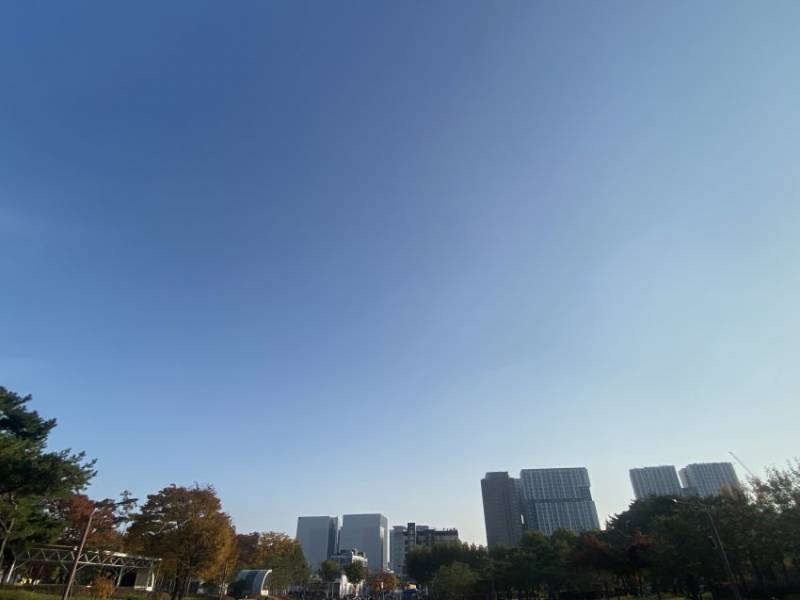 [잡담] 민주당 지지하는 애들 종묘 앞에 이런거 세울때는 왜 아무말도 안함 | 인스티즈