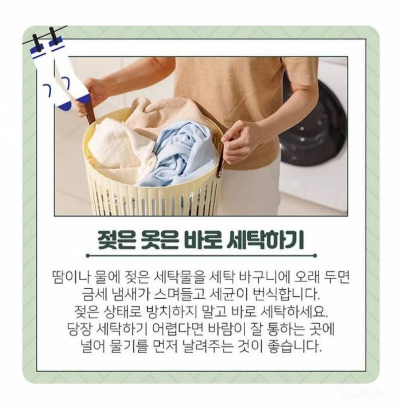 빨래 냄새 없애는 방법 | 인스티즈