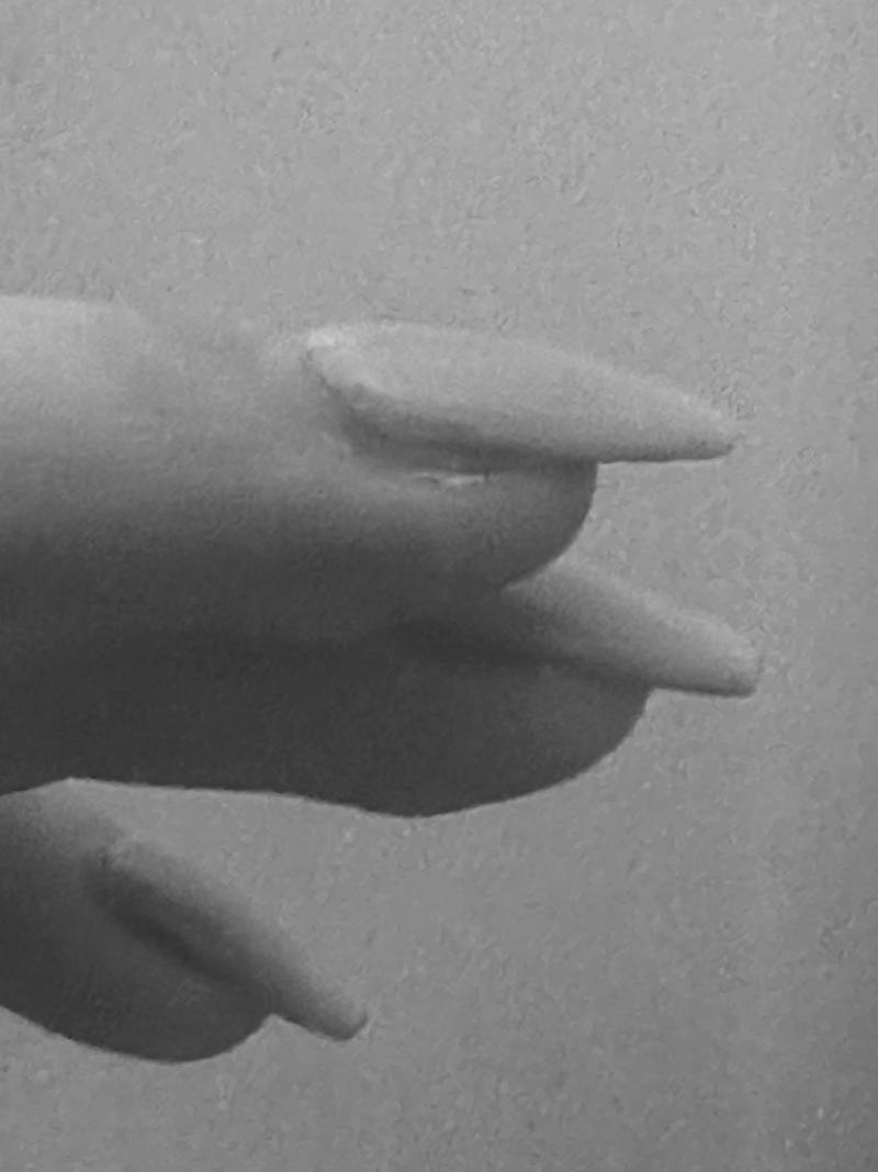 [잡담] 나 네일 이거보다 더 길어지면 키보드 오타랑 개쩔겠지..? | 인스티즈