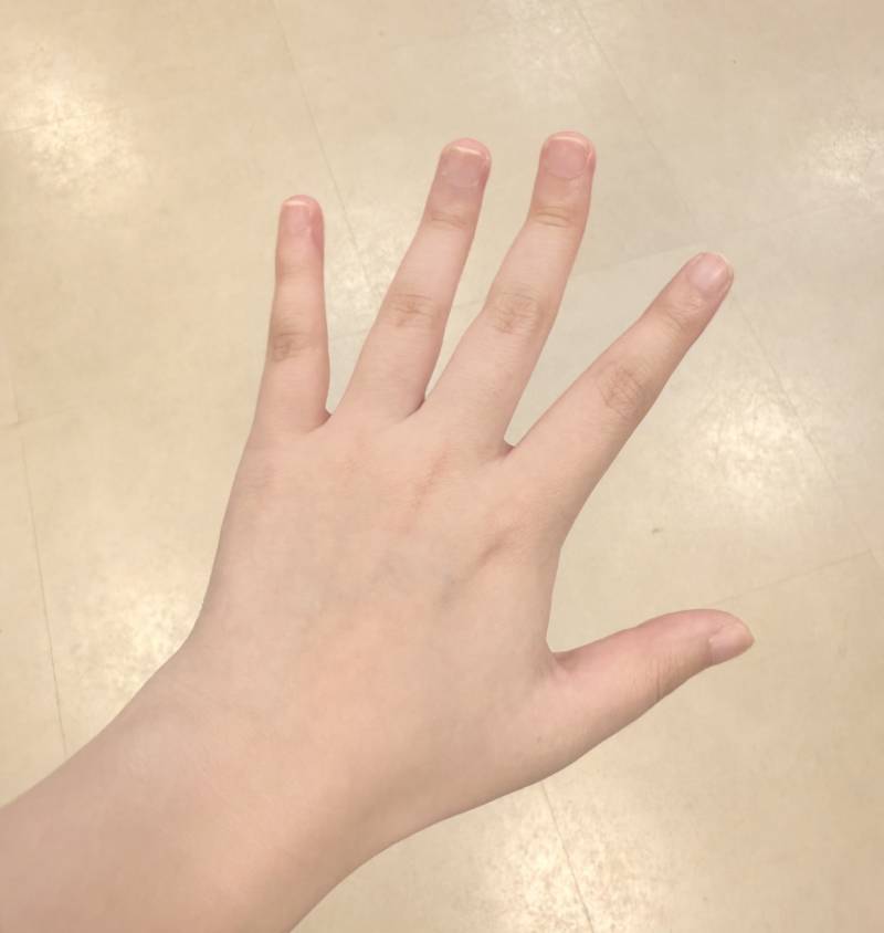 [잡담] 이손 단풍손이야?? | 인스티즈