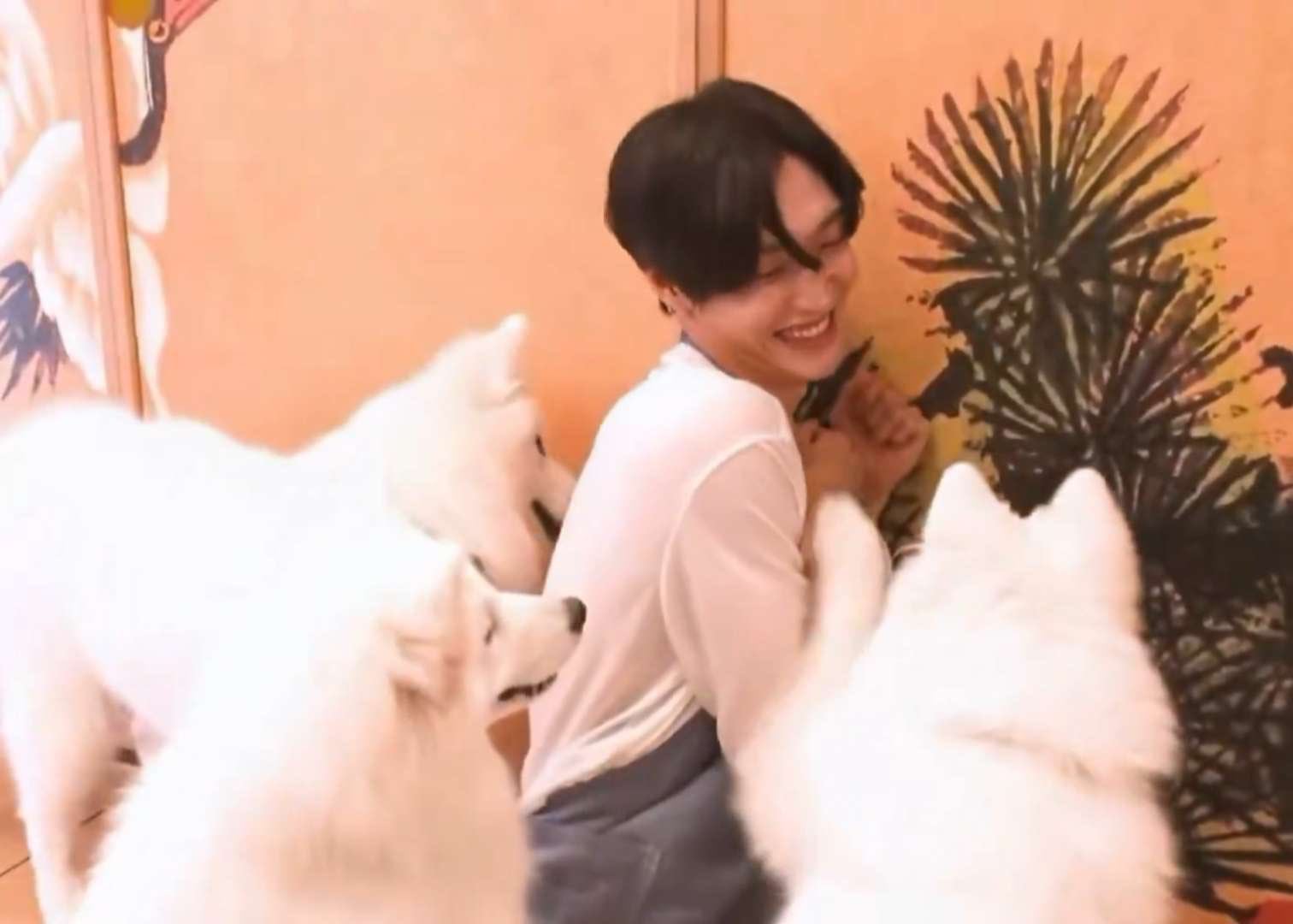 [잡담] 원빈 진짜 개(dog)행복해보임 | 인스티즈