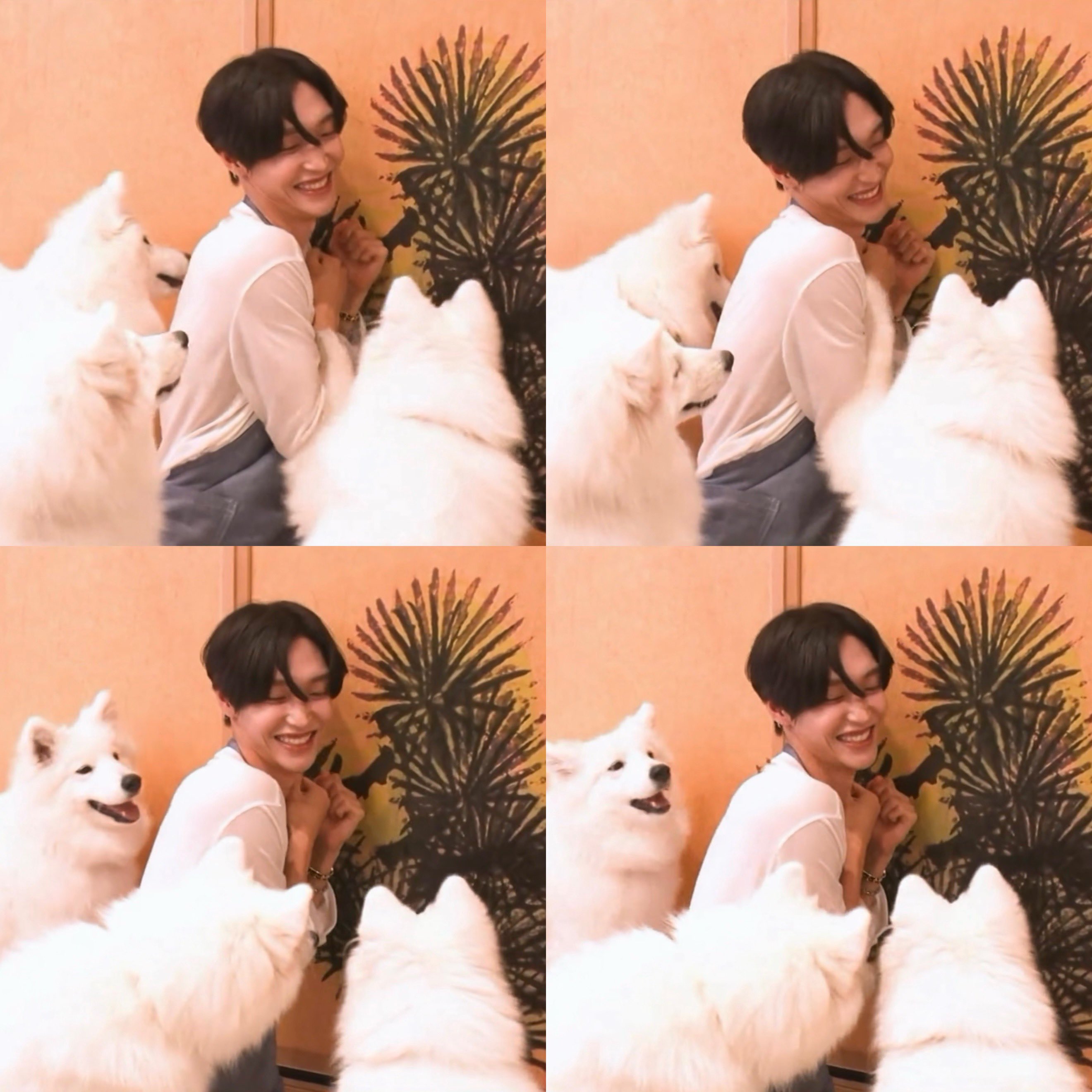 [잡담] 원빈 진짜 개(dog)행복해보임 | 인스티즈