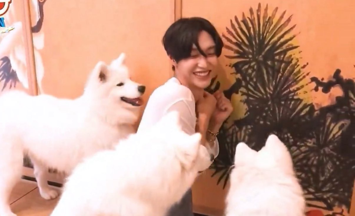 [잡담] 원빈 진짜 개(dog)행복해보임 | 인스티즈