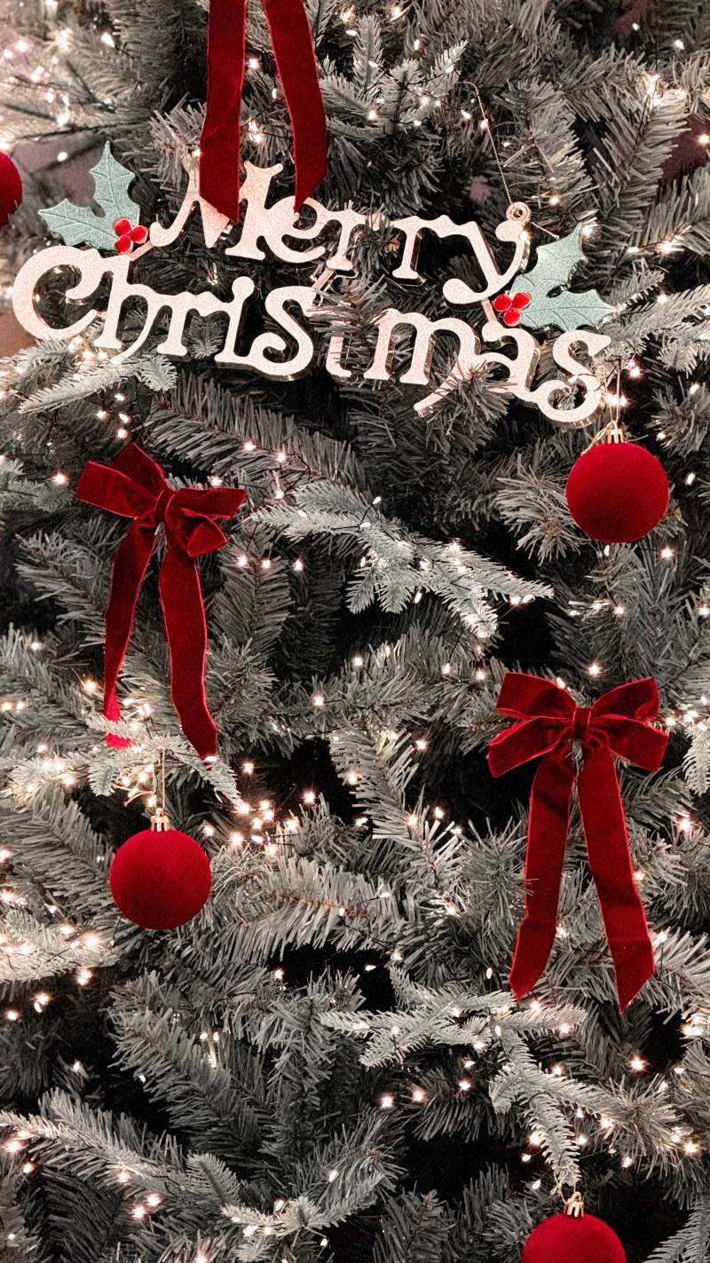 [잡담] 우리집 벌써 크리스마스🎅 | 인스티즈