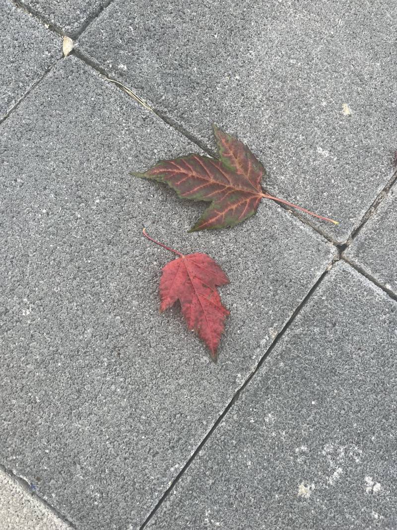 [잡담] 사진 취미 1일차 | 인스티즈