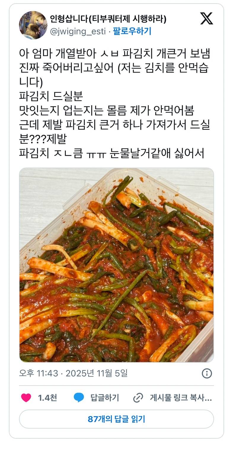 현재 sns 터트린 엄마 파김치 불효 논란..JPG | 인스티즈