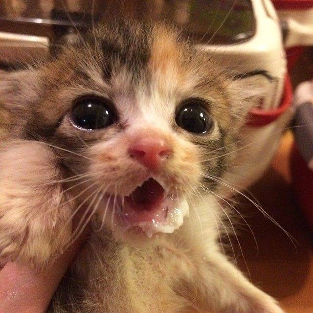 [잡담] 이런 사진만 보내는 남자 쎄해? | 인스티즈
