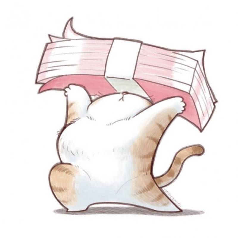 [잡담] 너네 월급 들고 있는 고양이 | 인스티즈