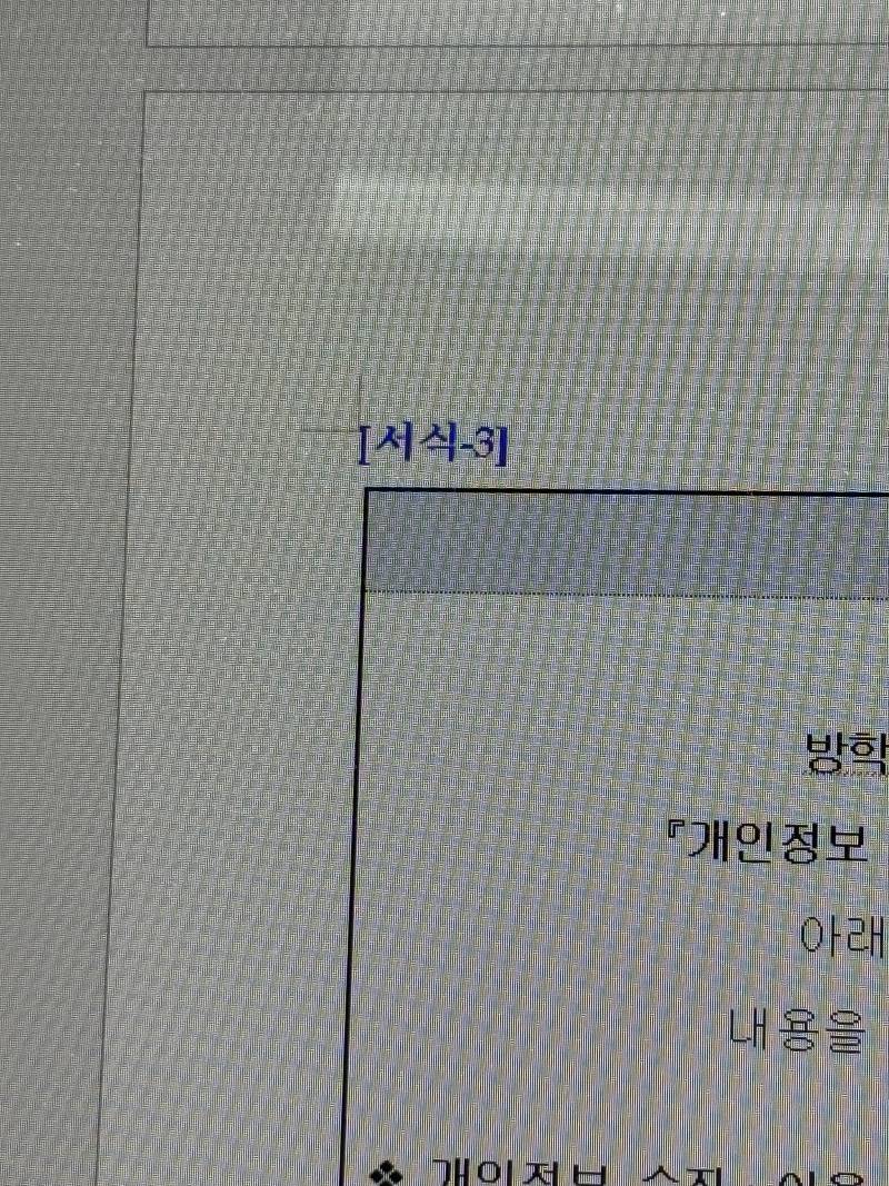 [잡담] 이력서 쓸 때 이런 거 그대로 둬야해 지워야해?? | 인스티즈