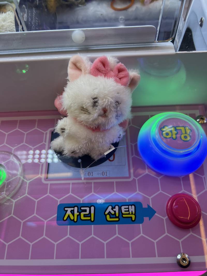 [잡담] 오늘 인형뽑기로 7만원씀 | 인스티즈