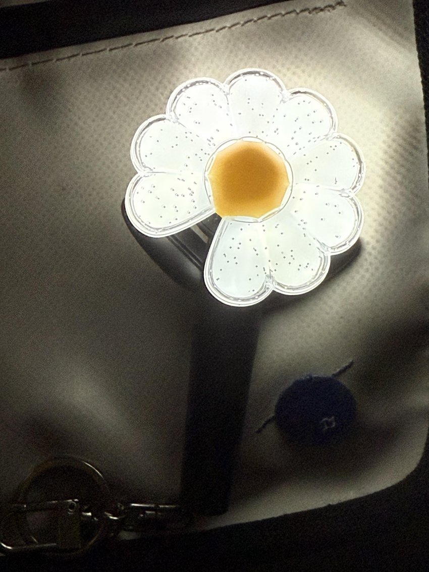 [잡담] 내가 본 응원봉 키링 중 젤 예쁨ㅠㅠ깔별로 있어 | 인스티즈