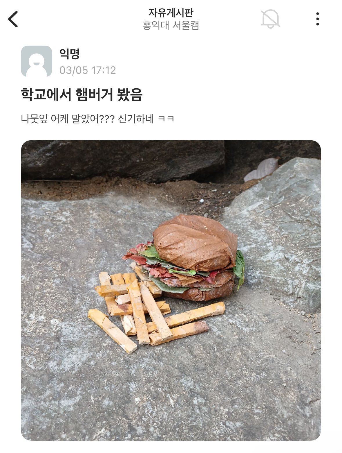 홍대 에타에 올라온 나뭇잎으로 만든 햄버거.jpg | 인스티즈