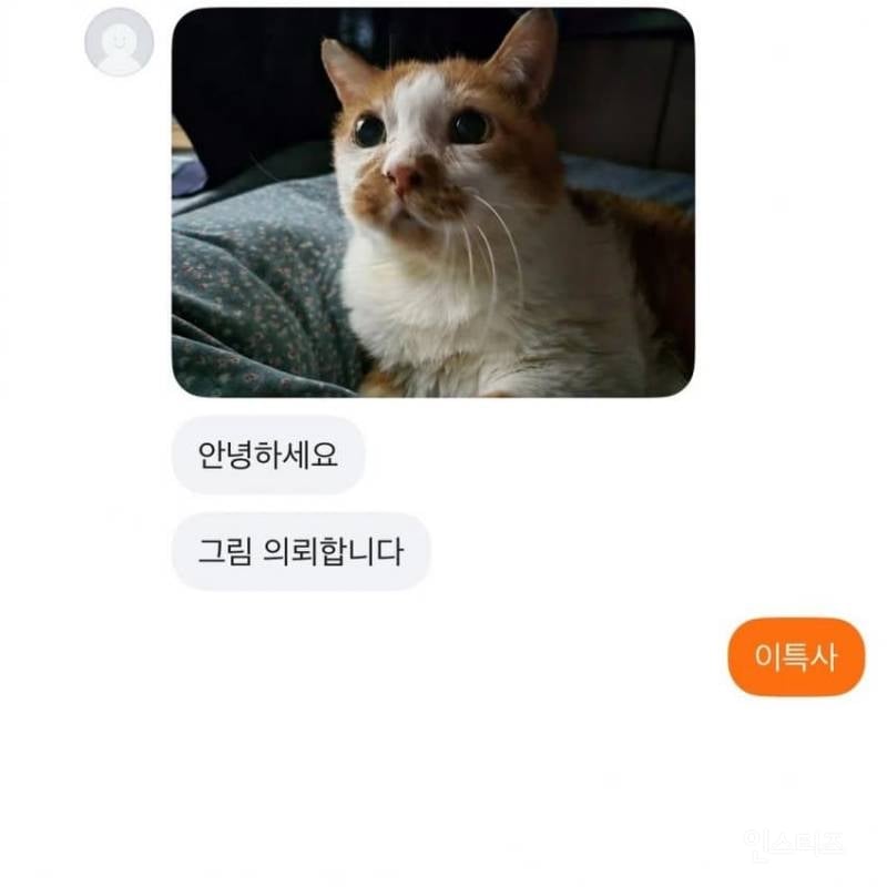 당근그림 의뢰합니다(feat.고양이) | 인스티즈