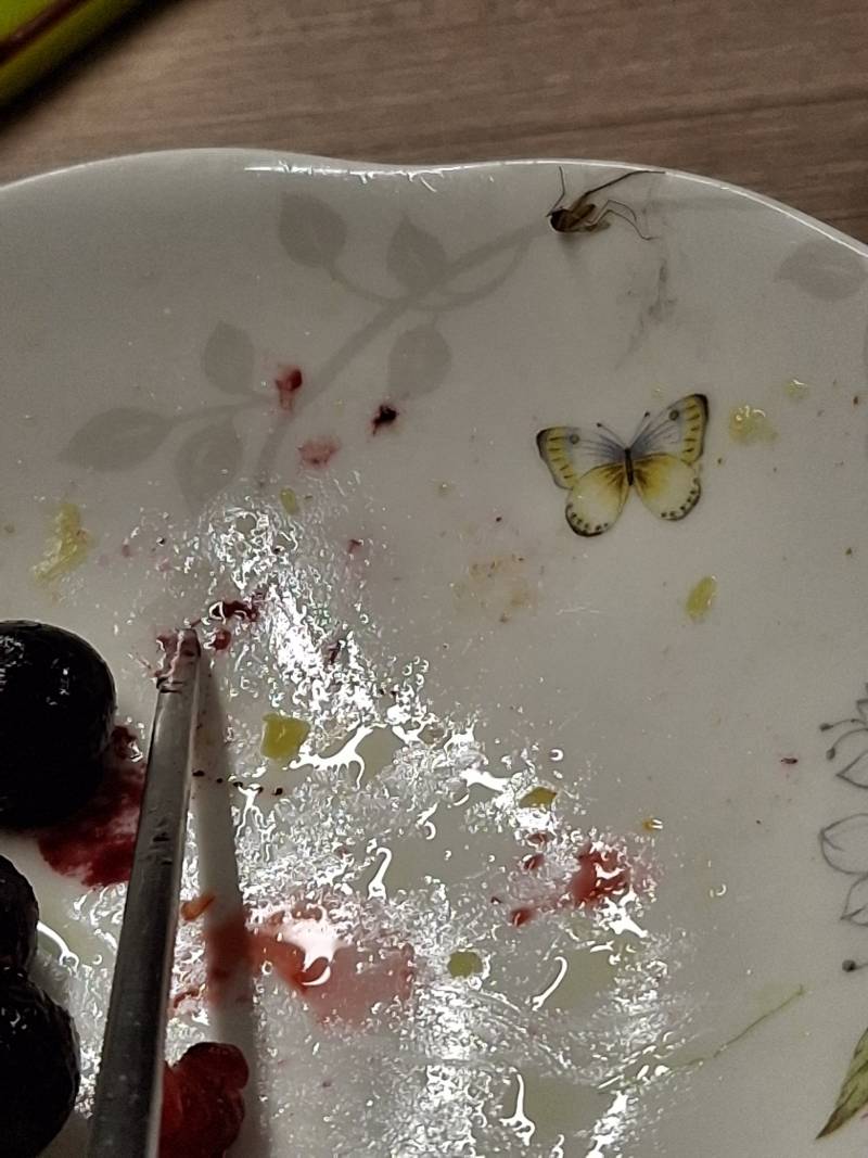 [잡담] 모기가 내 그릇에 앉아서 지혼자 자살했어 | 인스티즈