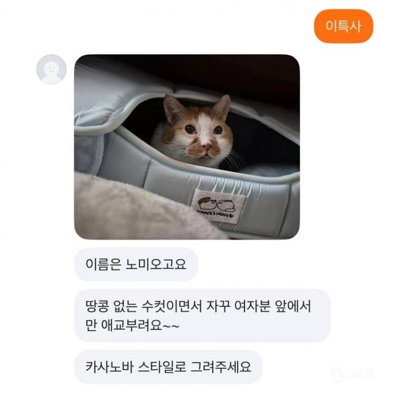 당근그림 의뢰합니다(feat.고양이) | 인스티즈