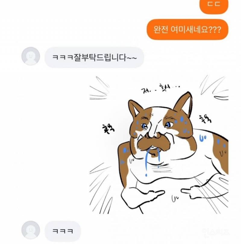 당근그림 의뢰합니다(feat.고양이) | 인스티즈
