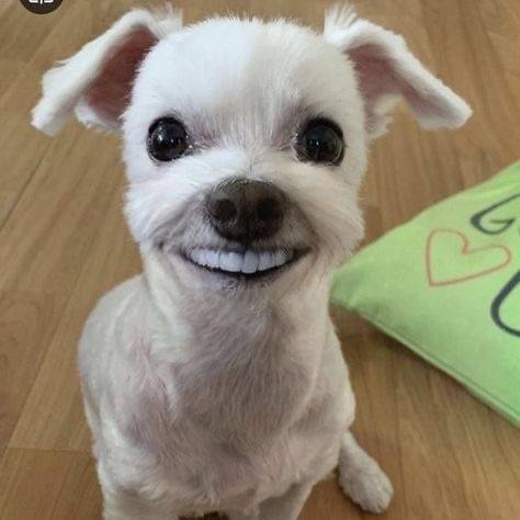 [잡담] 뜬금없긴 하지만 시즌 내내 혼자 품어왔던 영탁이 닮은꼴 케찹고백합니다 | 인스티즈