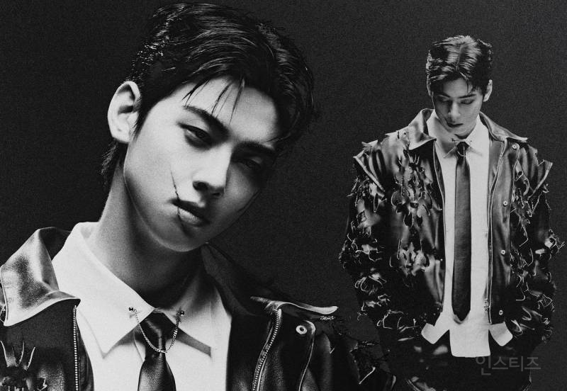 케이팝 기강잡으러 나왔다는 차은우.jpg | 인스티즈