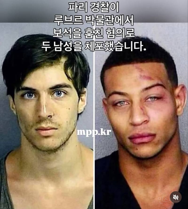 잘생겨서 화제라는 루브르 박물관 절도범 머그샷의 진실.jpg | 인스티즈