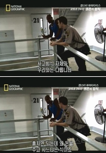 국민의힘 성일종 "100만원 백이 무슨 뇌물이냐” | 인스티즈